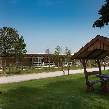 شاليه Bungalow Leccio Trilocale 4 Pax بيبيوني